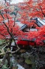 大象传媒下载安装-探索大象传媒，数字时代的娱乐新选择