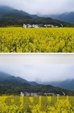 果冻传媒制片厂免费观看-探索果冻传媒制片厂，免费观影的乐趣与挑战