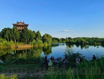 人妻av在线-人妻av在线，一个不应被忽视的伦理与法律边界