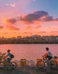 糖心v log官网怎么进-独家揭秘糖心Vlog官网访问全攻略，解锁热门博主背后的精彩瞬间